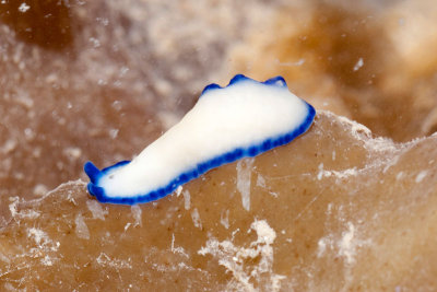 DSC_4419.jpg