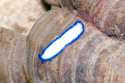DSC_4421.jpg