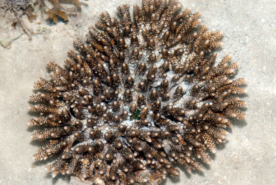 DSC_4423.jpg