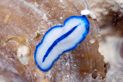 DSC_4429.jpg