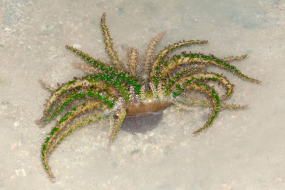 DSC_4449.jpg