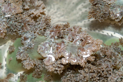 DSC_4471.jpg