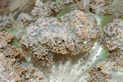 DSC_4472.jpg