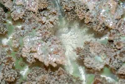 DSC_4473.jpg