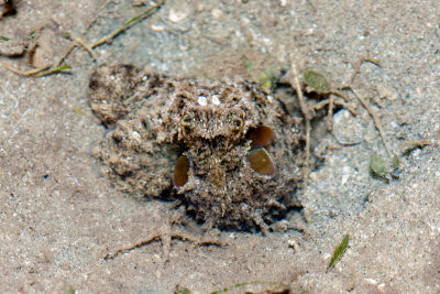 DSC_4477.jpg