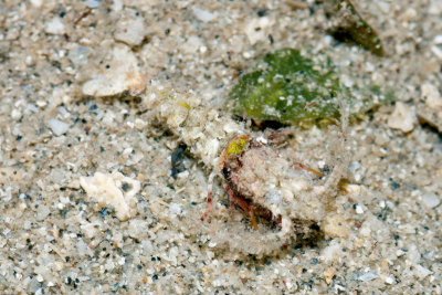 DSC_4486.jpg
