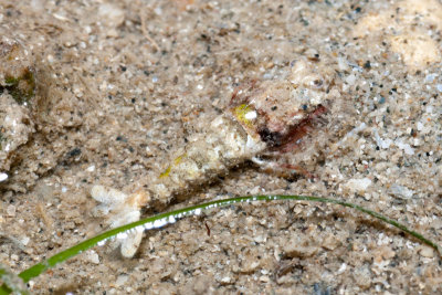 DSC_4489.jpg