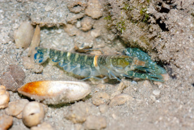 DSC_4492.jpg
