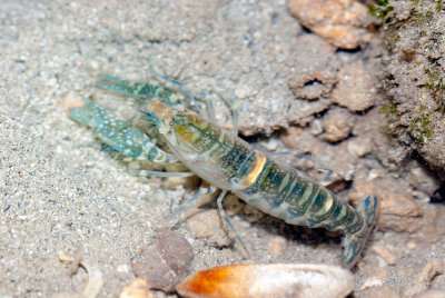 DSC_4494.jpg