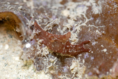 DSC_4495.jpg