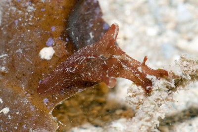 DSC_4498.jpg