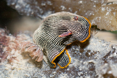 DSC_4513.jpg