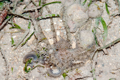 DSC_4525.jpg