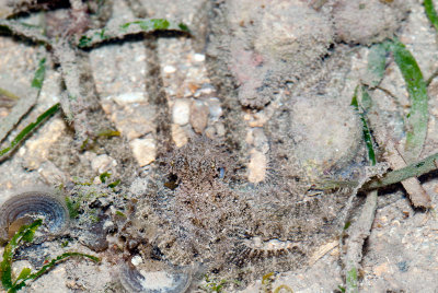 DSC_4527.jpg