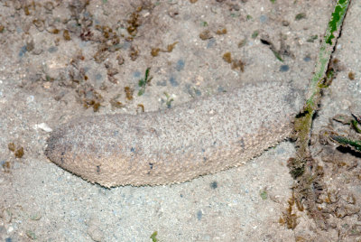DSC_4542.jpg