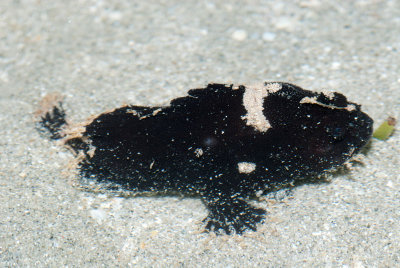 DSC_4546.jpg