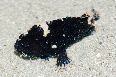 DSC_4547.jpg