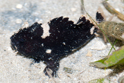 DSC_4550.jpg