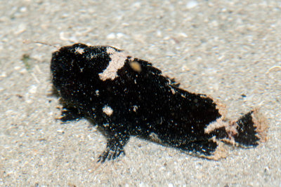 DSC_4551.jpg