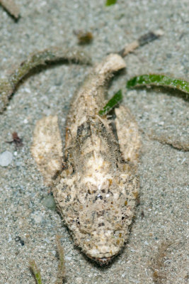 DSC_4552.jpg