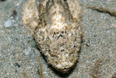 DSC_4553.jpg