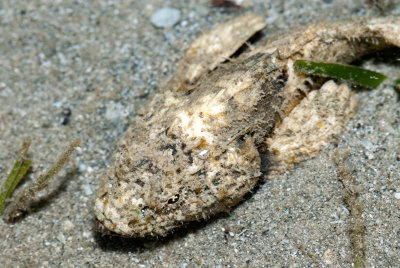 DSC_4555.jpg