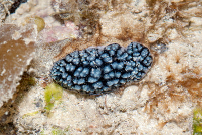 DSC_4592.jpg