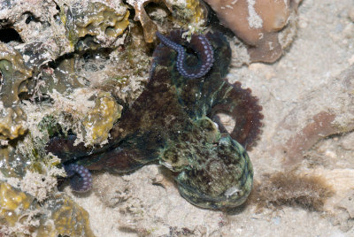 DSC_4593.jpg