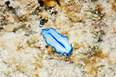 DSC_4607.jpg