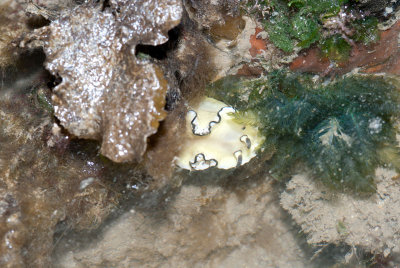 DSC_4609.jpg