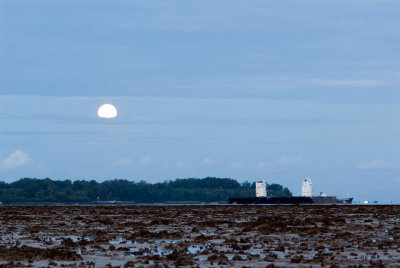 DSC_4617.jpg