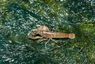 DSC_4703.jpg