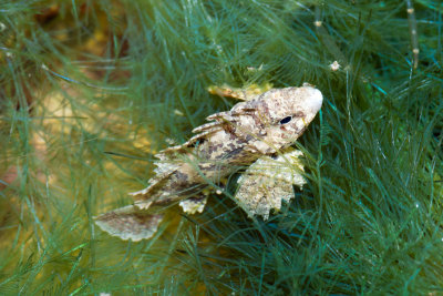 DSC_4709.jpg