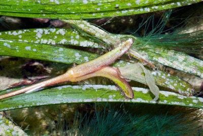 DSC_4714.jpg