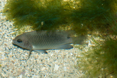 DSC_4716.jpg
