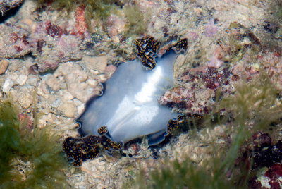 DSC_4721.jpg