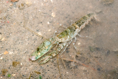 DSC_4722.jpg