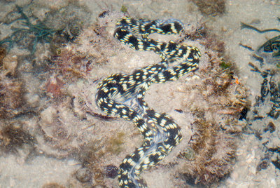 DSC_4758.jpg