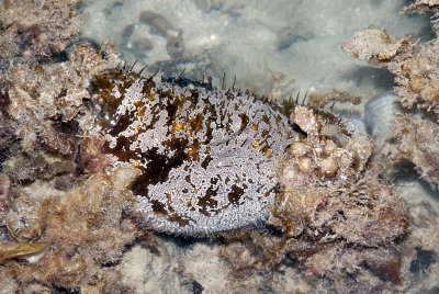 DSC_4762.jpg