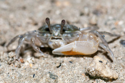 DSC_4782.jpg