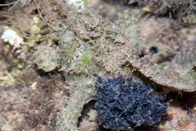 DSC_4805.jpg