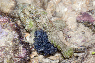 DSC_4815web.JPG
