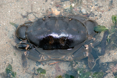 DSC_5381.jpg