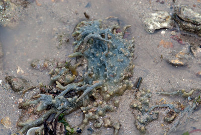 DSC_5385.jpg