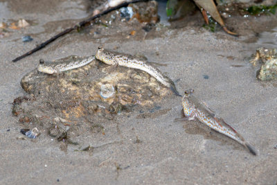 DSC_5393.jpg
