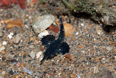 DSC_5404.jpg