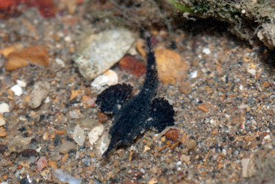 DSC_5405.jpg