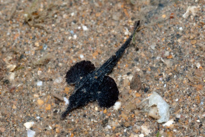 DSC_5406.jpg