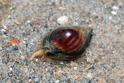 DSC_5408.jpg