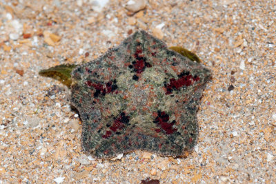DSC_5414.jpg